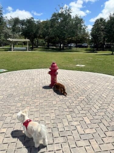 AC9h4nrOCuT6FjmNMvYkxmorALA5EuvgeodPTYuiBVRiP0LUZhimEaojfQa7kLkWRJ1Q74b NpfZDLZ76tQLMCiTyoLkptQL8iOd6rnX4WyH3h0 qXYAD1DY354vvxkklQZLLu5InC52w1600 h1000 k no