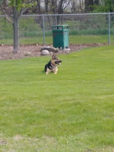 AC9h4nrOJLxDygtLy6diyi4Tiv8wAwyoXBDL0x9v3xXKXVGu8ywUlKnDz0XdqpqsJkEbqmJmZfS lJrFeUr4f bm9EXs4slQhSviDJelBv6g1UTRdTjEkUMMTDcvzhCrx01bjMhl Ucw1600 h1000 k no