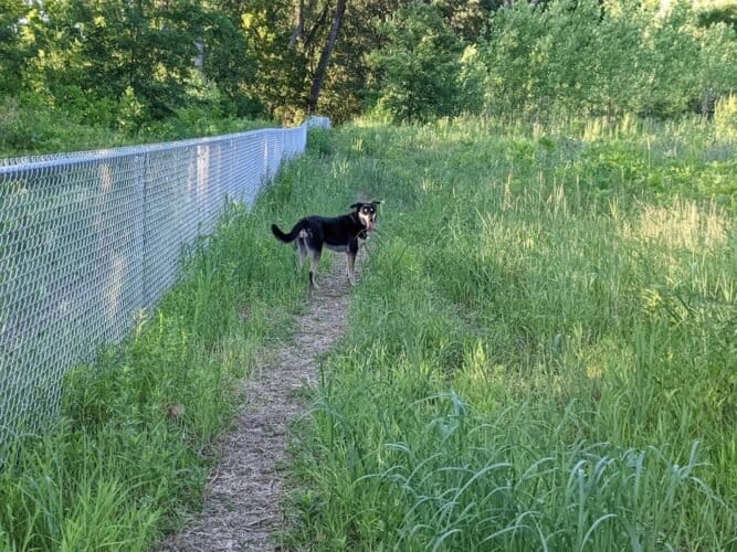 AC9h4nrOMclGltB4kkLTUcI8Mf294cFRr6iFUTDUrjQdx 0wClBuPv1L4vJa sBAa2xCp9PJHjBE8FAo8M iK1TEs H1AS xO2c4ct9DYUsw1600 h1000 k no