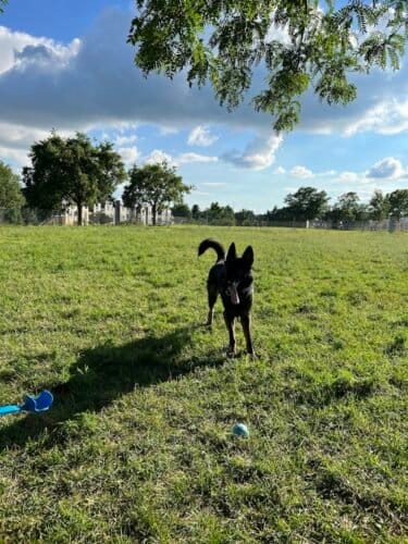 AC9h4nrOQjNJ9jMBOlqDO3uBMbt VIny6z46kqHbdICWfWCtNHhLlJoVeSHl0qBD089Gd3NFf3T WWCqw2 GxW78gZzBZWriy6 TWUqhRzVNdeJMAFoI u7RnrR1iX3cobGl 6i5 NuOxgw1600 h1000 k no