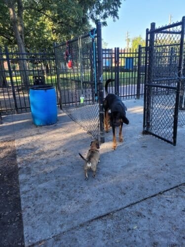 AC9h4nrOUUQ mqi5XPQuAmxkl1KiRd573ygDkE9flz5FVPV0veKRxiV zaj9FxxIzKjyL19f1JvlNrVMu3mSldniAdEZlyofP4yX8vSvXGQfhhQ6rvMiiXoZ71uSvSHNkw0aTJis0lJ6w1600 h1000 k no