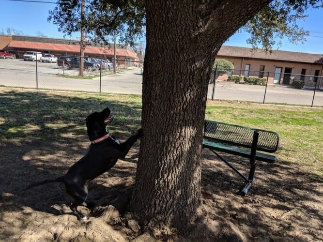 AC9h4nrOVJpItGwmrwuxBAEb Jz Gr1vtZAnPqs0M8 lSCExHPI3E3dRkuOOzfSJt0cIhf7baPAPJl0zQqRGytG4l BMny2jNJljAyYiow7CaRzVBrmZ557Al2hQ 28 CQFQqTRZhFYgw1600 h1000 k no