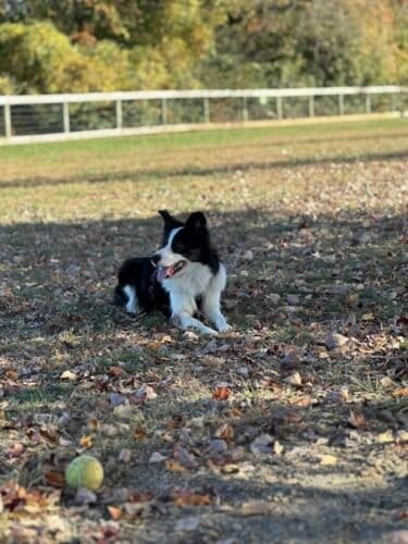 AC9h4nrOavpa0SFun COWdkpKCpBmYNJcVQ7egHW99CscSqo8GXKgUUkS6eA D9baXsVD6ZPtAFjBJ8xVVS jiy7FgyeasIwx4JYXDev5ww1600 h1000 k no