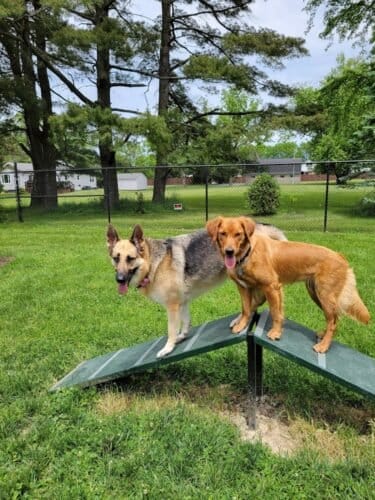 AC9h4nrOcU641TSYfSvz7LppgpFq7cAG73HFMtCv7iIlQ6AMmMsnG q ah764eYf101e1KWv Xsi2fyZyRkNtQ7LUF67u 7ObDgJtKWN0Qw1600 h1000 k no