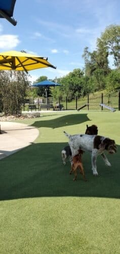 AC9h4nrOiXdohrxdMSN2uDadqACoLzsYzPgeBfnCzP5K7uMT7r H9nUpPECdWHgrWOJuJ1wFoGXIXf eJRwRfMFzeP3SlmpJ9BaSKSEDTjr4fpPuPV69v6UZmheG0yABRgAqcGdxymjTw1600 h1000 k no