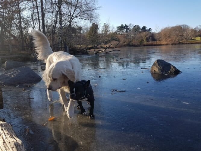 AC9h4nrOn29qXUvIKncYBID9tQsIt 8V5T 4f S2b ISocJ rCzpkEUMAz3aHMoq Cq3zEwi6TyuALQxEMbS0RKBXiDPQPlUpoQhvGgk7OI1rComIco2rj dqBVMycxQry4JoCh1 EgyQw1600 h1000 k no