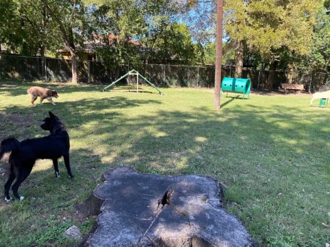 AC9h4nrOtKglFCq8WYE8CNWaFRWyRtJgLyebI4SnMF4xzE69Qq8EuX7zW8 JUubN OZyFSZFyf20ZHWAjOQXFDBvrvAuN3FBioB7B8vocb27Qw NM nZLVGKPUssWsOK3SxAMUfzjX0w1600 h1000 k no