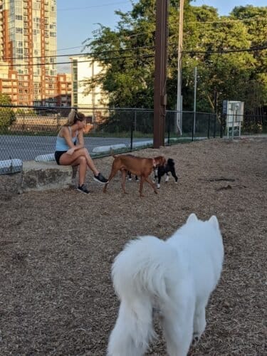 AC9h4nrP2myY3Rn2lCTlGjh9mn6oupgeTuKeSOVhiVa7K3u2R1WxVQEQh740bZajLM OQd2PHlGnFLpZFbOPtfRDRWXZ48W Tpa6OZgefxDuWdmSwHOoQ0fONxYqaxm52yyIiawUf6ylw1600 h1000 k no