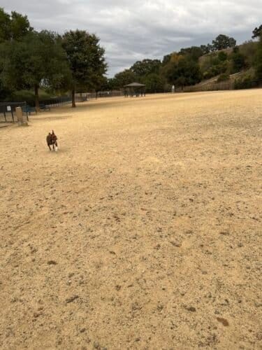 AC9h4nrPYegy9MZfgenyG17rJzkIZuTodz3eaQtLYDiSUJQQRekI8UtGcxgOTuLg4MpbTec13H3VjHzxcNgb1aO c6ICbReTqLrJUYq3QWrL3fxk4rJYXt9mCq5iXe4YivjtqSHGoj48w1600 h1000 k no