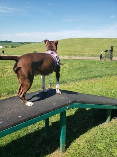 AC9h4nrPqEvaoYl6rY9yfJ6civQNWNf6vnF1Iw4X7K4yl1lXZVKQA2brBOWPcbDTiH5HhzohexQEIDnLDYQg54J5LLp2RpY8Ejuz4xCL8Aw1600 h1000 k no