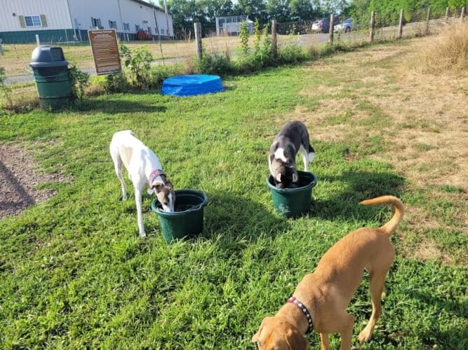 AC9h4nrQ UIqgnZrUq9HZ23 sVa0PqKQ6stXjZBgnMgu7Opwp9E1go6pxQtGWgMTVJM81zcbT7RMp5lxYTk7Uy2UkG6ijhfqSbu4NJK61H2ZZG5SyiVG1RPqYpqtcxgFRvrccl5yEoDRMAw1600 h1000 k no