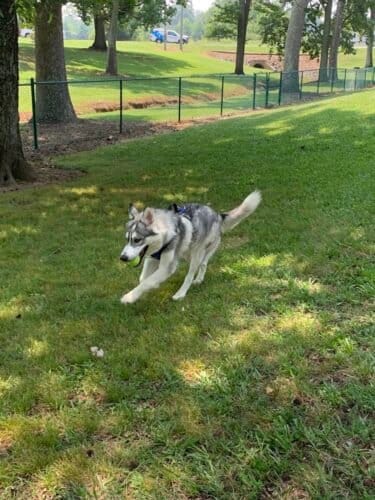 AC9h4nrQ mb 7MaO9FMPxZ91QpBTOJEmIwAbVcoGVLU1wi2ouqLIKUv822Og5Dkn 67hOId1mGZtmSfIva2hHKZQ5FGwSpqIdpZJd14lOJxiGqpVWb AERfozSIbKg7O5q874B4J EhFw1600 h1000 k no