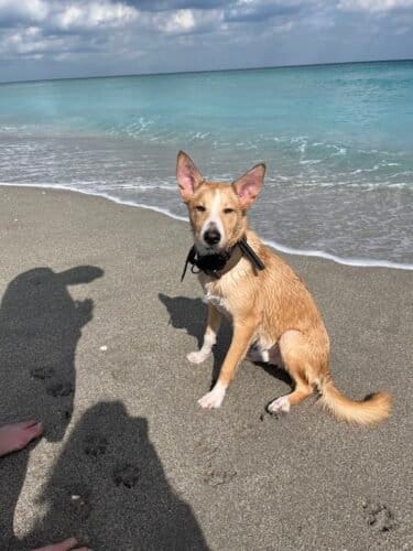 AC9h4nrQ3A0hbIrNaNgmaMUjdYL7 wDWB D31ugsIeEJ w HULJt9FP5PZdxCfDI0pLnldcBUZZehppM1KxJ2FqaDpwiSazAyetZGciygf1jEM6 VOMIcEaqe1xNmsR2i1cubel v0JQw1600 h1000 k no