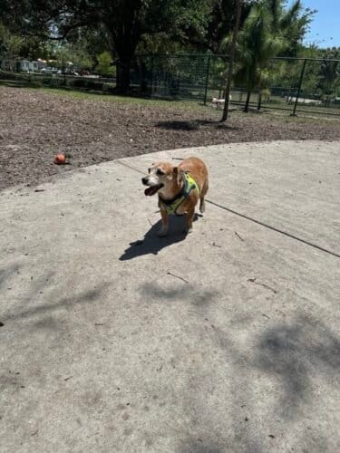 AC9h4nrQBFyZ eRSKR7A8ISxH0GJe 4p0G8MxMtAhU9uOKL8l0iNPmG0  spEVLxtH7X7uzlT RqrhXE EftobQyCSsXbLxf9Mk9cxVVjXVIEOwla8RJZDqp5bagXFws5lUtX1xo8o5ZYAw1600 h1000 k no