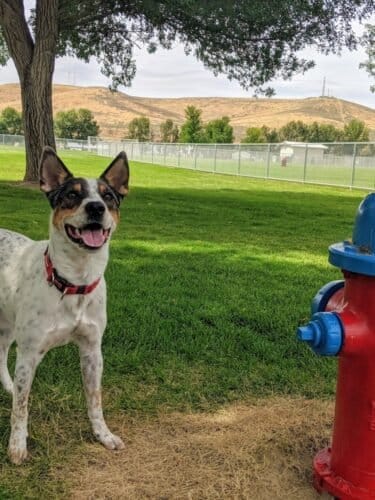 AC9h4nrQSXwJ8hi4lUi5QZECBJtyaC0xDUPkuRbqNoe Ktf DCW0EjjYpICpUNnWU5NHvTEV59oPZaey1vJtKTATFVJu9KcoKDocnI1rOgw1600 h1000 k no