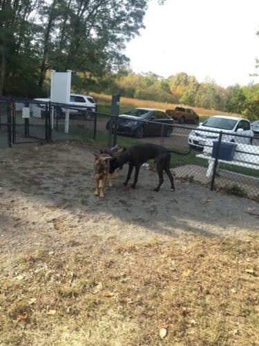 AC9h4nrQlATMMKbjtTMzXtdJDFERdL9qGk2bZ1PnIzZMwgliKE 24mdON pAXBK2QE5WOSdVuQ59d3uOwtqJf3TJhaJPGFgZr GB36XDAEBie2 ek9tEG2KGJbj60MRr0NSvcj6gJDrCw1600 h1000 k no