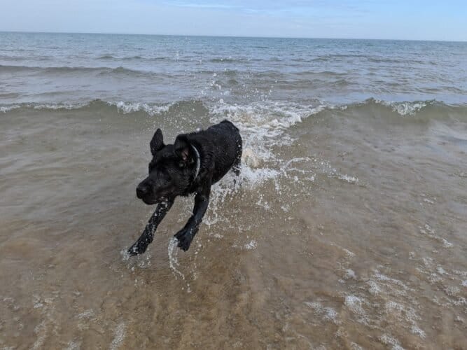 AC9h4nrQlDNnJJDquLisf1BcHiPhNlNmXKVGv3zb Ny1PMqnaqjkaoaVSESA7eJKJRLp8UlIl3Ny2cgBHTkul IXdXyfwEOtmulMw6b2SDdyMqpyVfIxgBN9DLhJhQchVWj4wIXeB2aW3Qw1600 h1000 k no