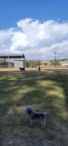 AC9h4nrQoinUkMpI2gqN9SKHx4wBm6ZbycOSNdGmMNy8UWr8J0V6BZ0kPxyM5yUSTcuWN oWuSmquWRUrJ xGlLBOexHHqW4xJ4gnWdeg4Yw1600 h1000 k no