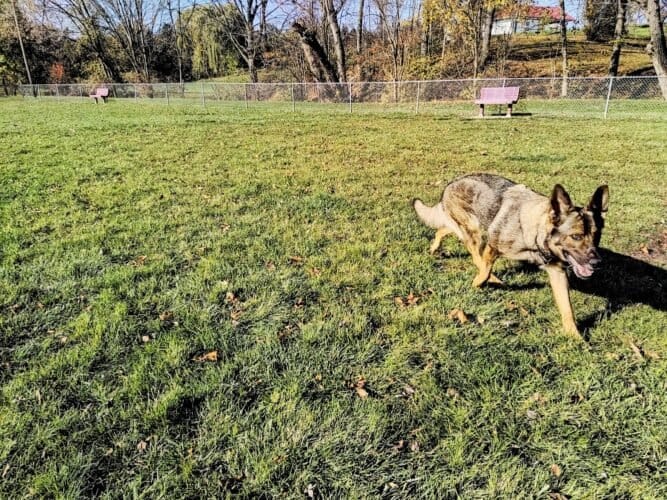 AC9h4nrR kBCzLEliT3vZMyi33 ByWpy0czxptKu2uqCZEM7G8jIppMVGGk4KwNPUNRoiAsyGyBeO3KJLoXmPNc7Q6kFMSaRZu GZwGc488K59owhkB2aTC5gHO28BP9QR6ljNKyMwQw1600 h1000 k no