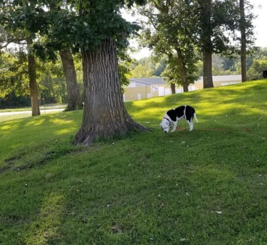 AC9h4nrR74ntVny55TBKlkLVFqtfSm75MSzlidFyHsfvahOjFK2PWjvI1pfaL5Zm7B4Apgk2x4jEyP TLayKuGxR KzvYHrHhhHDWcJiM1KojuN5qJFpx7jhD2kUAxAX1j5 qlCHDa4w1600 h1000 k no