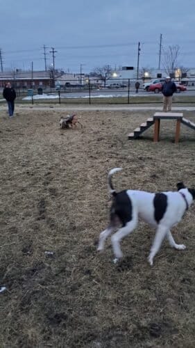 AC9h4nrRA qtkLrvm0135j6IJe0ld6LoOGDbRvY z XCD55EkfY5ynWTBMVM8iOeN VM3XOOnNQvK3FFg5aoVtnVX XdtngO9puIlBW rTs mNfWPB3b60bMAlIRBaeCMBWGYkclJdAw1600 h1000 k no