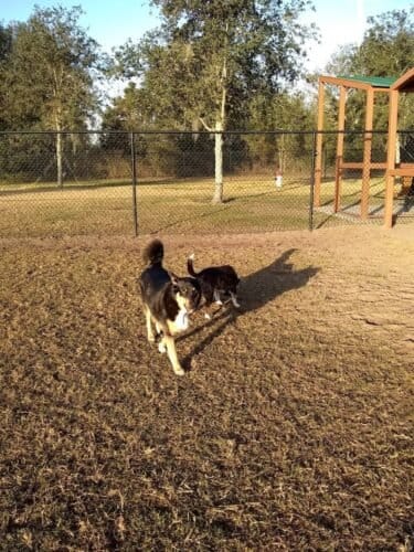 AC9h4nrRGhuZHpNTGbYPzjjiNAqHWdKfSksshwFWv46tcW5feAH0ct50kpKdvEG81AOy7cV1JEq0c4R3m6vpwpID2g1oMGTqHN2TSdZxMHZOqTnLi7jB8N8JdZb7h2ft EGvMbklAg55xAw1600 h1000 k no