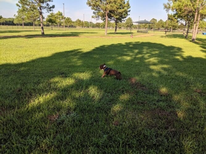 AC9h4nrROCCfO7zHoy2 vQJgUD1mq EUC6031IEvnA A5AkHUung1r5fyRSp2I9ADtVa1m0paSzU7Z324PNW8TlcF3yUPBv mOrgrYCMwgw1600 h1000 k no