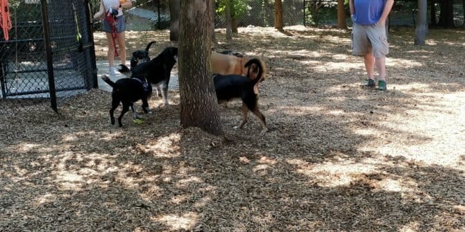 AC9h4nrROyqfwe3TZJDIcXJ3 5IztgdY8y7rDR9nextuVEsMUOnzVcEL pSlCWBAYKPV3z4FBGMuxBZj WYEMV im0MObCXSrouhgRjZBBHlS5SC2HqrE jS6sHPuyd5rp7U6PsgCVjW2gw1600 h1000 k no