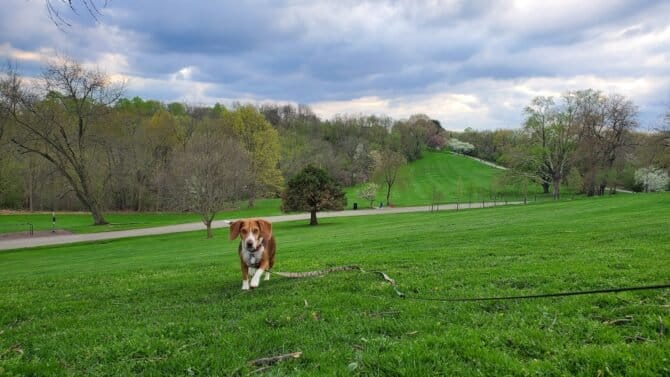 AC9h4nrRV04 0GTXmJZHBn3jlS8F86ZmcFp4e 0Byv6zELH5yHQTLrXyEDOvFeXcR6R D9ghLWB6O59AGKDE4pENShkjFi 27tqIdtCz0oKfvxv37fhX67MdUFNc8DjX3DXajEU8 JzYgQw1600 h1000 k no