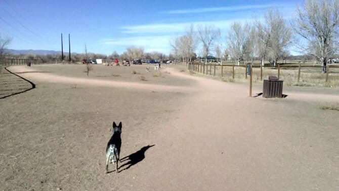 AC9h4nrRbsaRCD7sQu4zb4r7a7dPW1b9ytgEEpeagpvWPXqdb8SGDRanrpl 4ptmkEeWgH2WFmu3ALC4Ytg6 zxzpxh6GXW6ntuXwMx XSH2SylQ 4AM9szsovCa9ijrA6Jv hWG06eDw1600 h1000 k no