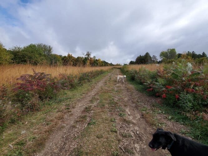 AC9h4nrRcjPlzcFq NiZhkCmvpv8X5nSygFoul8ylNdnrI3r4UY5TlNsqT NbJBMIvATa3mgRHkNxEIC5uBGsPDwP yel1TUoss78mXiMhwYdBn4jnIrHXKnxCvFEqb9HbHXN7jMf 5Kw1600 h1000 k no