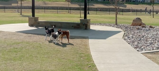 AC9h4nrRg1h5c6qMtjRLT2 UHNmPNOSGYLz8ifgrPQG2OvyGHAhtvXqJwv1KgA Aakh6UNdglHWrbzcxxpZgm4R0 kstiB3p70DlTS3dPJy7ADQvHrAL NOiSqWxRQfz8sM7HQitt0dow1600 h1000 k no