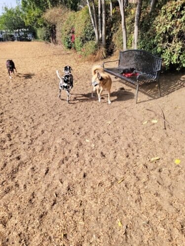 AC9h4nrRqqo1oq2F8KkKrE kaWO7afoGAy HJkKg2eS50NJkimE6yIOH1aubxilI whsDSl3JDxRzHie 3BrCgHe6c6L3OEGstXUfTM2dpedxl2Fu98b5U5rdf9UMpxsudseg31acMcMw1600 h1000 k no