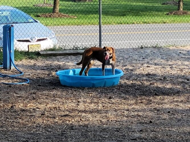 AC9h4nrRtu 4HXvNKdmhP8iAnfvUj4u uoDjTzn4FFJpI5Ony5EMR Tmk5tD7xe36gdEDvP9yf1YBKpq9fQGGZN2MVoW5GEdBKSJ0ck7ZypZdkHxnrSupNeTvPSK4XHNpyi91 JOqWUxsgw1600 h1000 k no