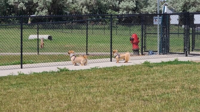 AC9h4nrRu9wF6VoG LA5RXcGPHSVry IoetJ O5EhWYuEMXft0olR9uCh06ycmoar6mWvbCjF r8ONNmtCvVfUpm1yNSr69kd vkD97wt qRTBhqnt1x96zRHMVLFGChpPDhLLs9WYkw1600 h1000 k no