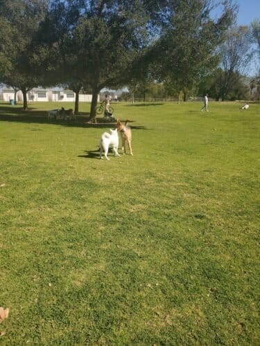 AC9h4nrS8jjiMrMfgmgpdZtzoneF2aDYTW25owpqY0czBhYX6B5kif7RL7rESCf7DVw59b5gRiXrkymbYTfKnA7vbr WkHdIDJvBbsl6IDN19hauo801dItHBCjCggKBgGIMEm0zUrZKFgw1600 h1000 k no