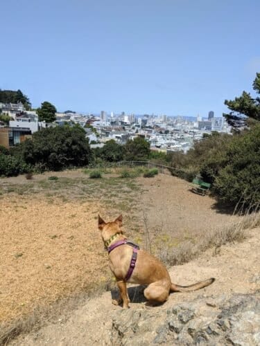 AC9h4nrSAJuQhWfDaUOOtfl5Sa R0WmSNIoemYfB6lpqyaAIblSfzYIyPt8PQdRYI1f5a 6tIepP7PgfglBSr2jnefwIfxPZ9xO5JPWNr1JszH pvaKv301gtf1us1qgGobFOMa9mOCYw1600 h1000 k no