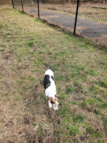 AC9h4nrSGYTZikyUROWgcOxVzksispBrYcNUMSZb5KW88jueS2 z4U6QCJhhsM2CdgVwk40HXnbQNza3491zxgLhxmXwvmPWBgyKuLV 3IoYQcqLZbS549Y A56IXtrMrt2KPK2MaTsw1600 h1000 k no