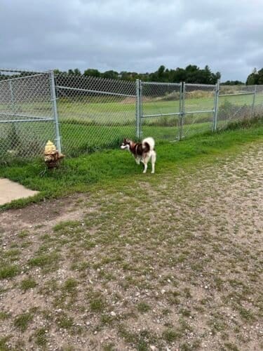 AC9h4nrSNHjBqXRLVg3E1GcZ 7j8T8j8eG04z MN1Sf m7 lzLCt1cpgt0UI7JsXGZal3Y Whyh7bUHNlApNogr54gpGvDY nh mSVANu EfHNL8wejiYy3Tm5lKdYu02hprjl30AlYIw1600 h1000 k no