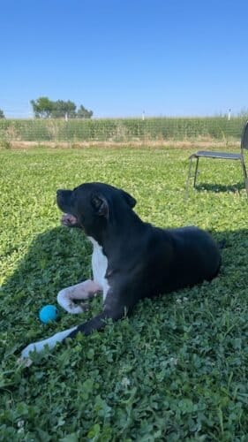 AC9h4nrSR0KyJ1zXH6ivc3mycxHWRtSR9hAkIbu LoqdkEWM0zgUZyFLlr1eyLPVbCdvb8CZA1hZ3jqwn9qkVRS YADcVxkS27INBK kJySVCFmou4BKKJuF Hl1l53R4vNyEmAI8wP w1600 h1000 k no