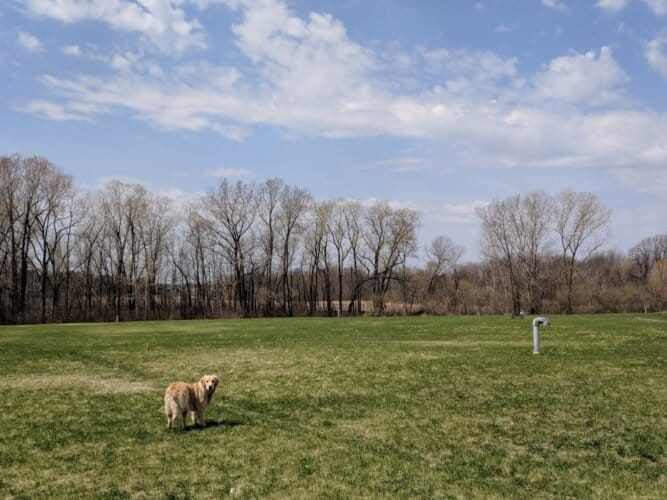 AC9h4nrSYLasxwMmod4uPY0E7mrgqmK  9S6OCjUmNJoDU9gjx4Sucn HHJNWKhIgD3Z5q3QwEYu8sNRce1aIUksCnPbpGqil0gvgYwS96mZ2zOAWUwPEtT3MQ8kkMzFxzESMPDGi6Mw1600 h1000 k no