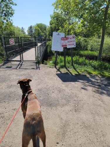 AC9h4nrSdPs6dRQRYnbbf46YX2G3b7sm976t2I TJCG6IZDsislydnp6i9Zf5NA4Wybv2Ryendftns1lss31nSLIPQg4T6TFXX0fmw6iwgw1600 h1000 k no