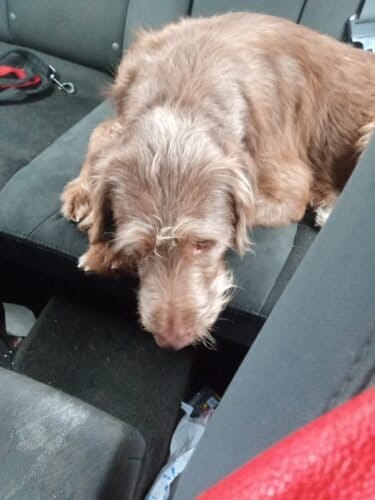 AC9h4nrSdyMJgxPKWcL c7zwjo2997HE4Q060p4xgcAcQApSH5xbYZWsNxUw2ysWZfQ280TehSRTBTyzch0NT CSxeWLGTCdWmqrsOwLsQKnMeKB1 skuadFwXiTshsXfO2BaFZgtF98mAw1600 h1000 k no