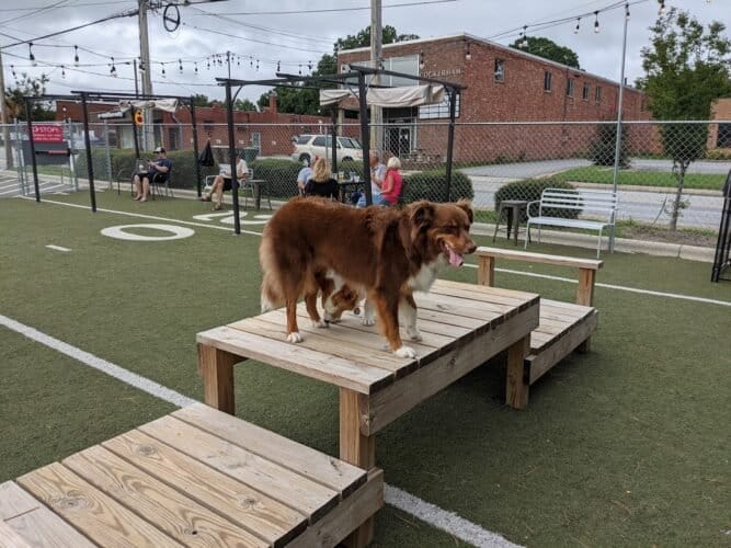 AC9h4nrSgw8hX3MNhZ22LNJA asY0iU3dphaUeneAR7AIRZGW752Vtc0EhF9PDB7q2BJX2K2fe9BdcWmhIvgEiCx5 RkETHJuWYG0On5kjzB4Ax4XQ0GRNNYNwMcC UP4fT7FzWhJePrYww1600 h1000 k no