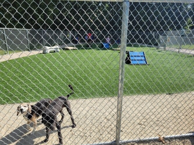 AC9h4nrSkXzoc9Sqo3X3 vul64 tBNsC9a0tBVHz2cNzcXCKX4JuUi8kOp5JD4ZXE4hIPNCpaptmN1DloRbJ72d vm7mQZCTtoBw7cK3 VpUgHmbb CCyoSv3 c3gmXs5SOyYOT2w1Jw1600 h1000 k no