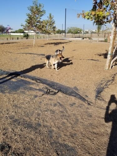 AC9h4nrSnflSb1wHbBotV5ncnw1pb1XKjYVVAgVxQ XfLSgmcQjUYuXAXOMNYTdiiy dlKyWLbqpE8Znzg0aAgDB0uCR0cWEbmSFXKjk rrsDNR8QGaW9T xIUHqroLymCpc6lHk8VQw1600 h1000 k no