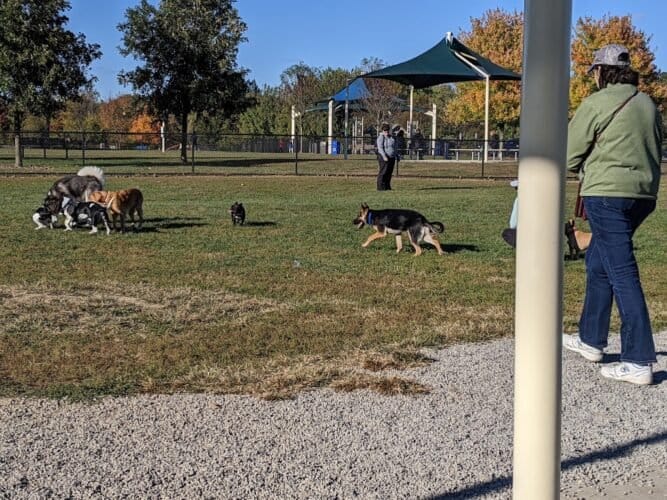 AC9h4nrSp 9meQP7arR cu10PVceiu2jsCEwN GWS18DAZ8gBRkgvzFYpM0nmV8 j7XWkQEoOWI cozfYARK lucDy8QROjrDzg0xFaS r zlMVLBYhG5xpvMHf9MhNpeMyAoPPEvEb3w1600 h1000 k no