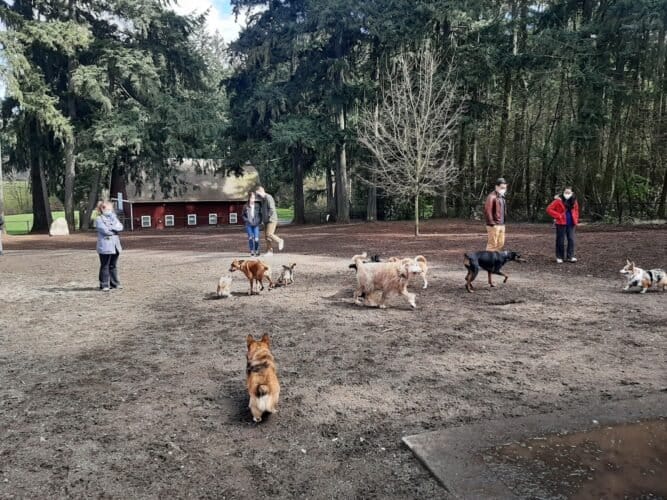 AC9h4nrSvuDl CDhkqDv6kbzGI88Rg 6IKsv1p00OHfvW4Zi5UmpFFhy 8tXQU6q1Kt0RxEkgxdw9fjOK3fmntUeLHkufmPtjoj3L28aHWWO70NR51SUgzZyEDlP910eOAq4Wo41bFjyw1600 h1000 k no