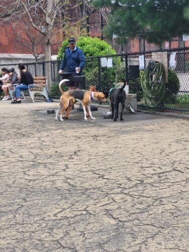 AC9h4nrT4sebE4UQHQSi8LMgO4WNv370PjITo9Vs81JlE0FNXzbGpr8Ag5dhnzR0gPjveSh74AIuN9nXr1GVnvI3Wnsbns2L4GvxGSrMCWB2lln4dneRHUfrzkLVYjXhCitSzztyvCurw1600 h1000 k no