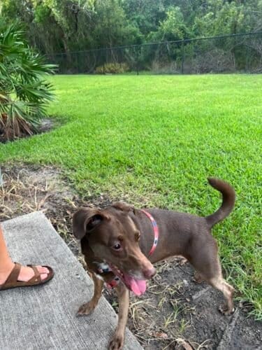 AC9h4nrT6EdrfB49AP9M9yAqjPc AQYWy9dmNcOP9BVqykutbEpWoS8 qWCHzeD1SOpvLX3c0mDN J1 Cl6NLdmpFJCTkksRd78Os2Nr4M9vV u4tL9Ooy5y7HwQPgL kD1TxzA0B9gw1600 h1000 k no